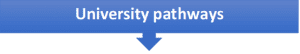 SCU ICON