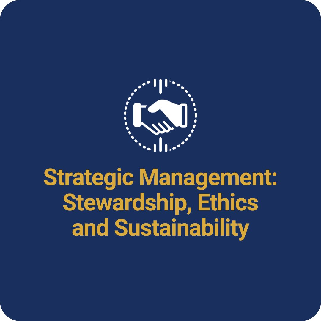 Strategic Management_ Stewardship, Ethics and Sustainability